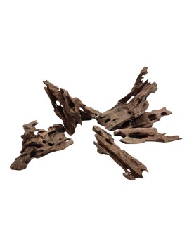 Racine Dragon Wood Taille S - 5-20cm