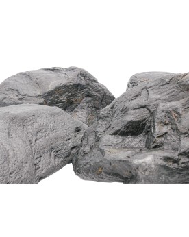 Wild Rhino Stones (au Kilo)