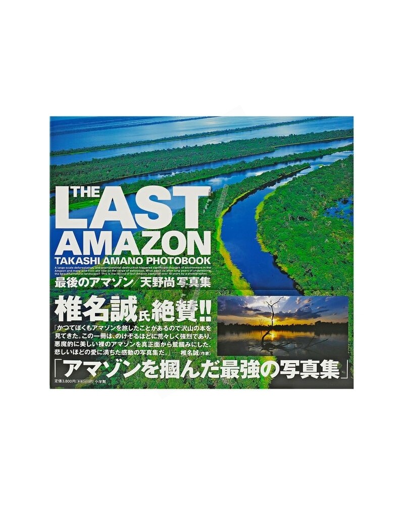 Ada The Last Amazon