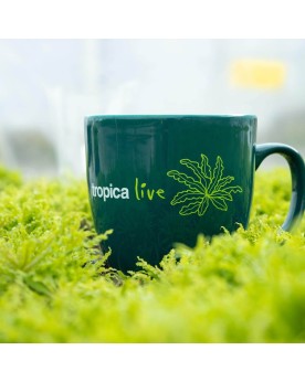 Tropica Live Mug Pogostemon