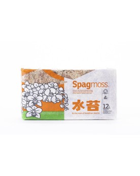 Sphaigne Classique 150g Compressée