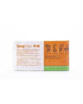 Sphaigne Classique 150g Compressée