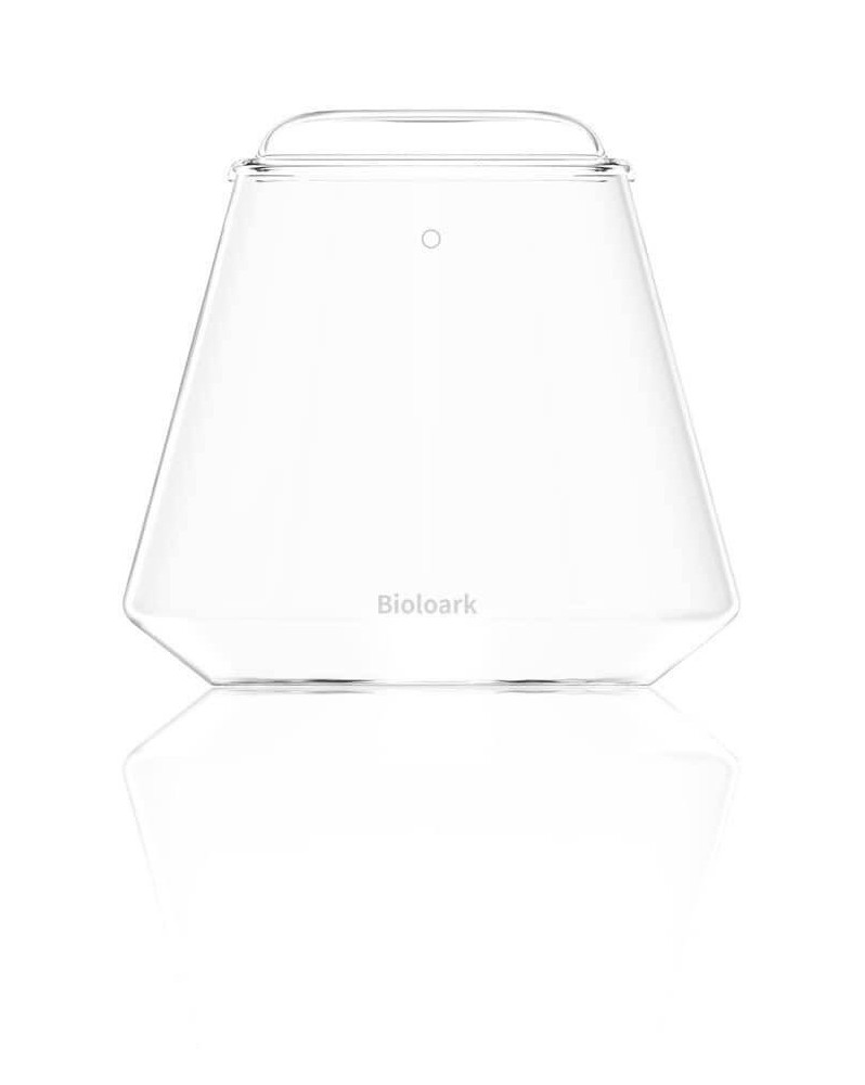 Bioloark Bubble Cup 2