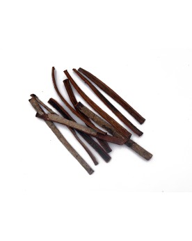 Catappa Sticks - 10pcs