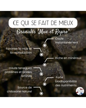 Aqua Elevage - Granulés Mue et Repro - 15g