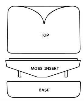 Eden Moss - Hammer Version