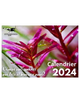 Calendrier Skaii and Shrimps 2024 - A4