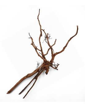 Dark Snake Wood - S - 15-20cm