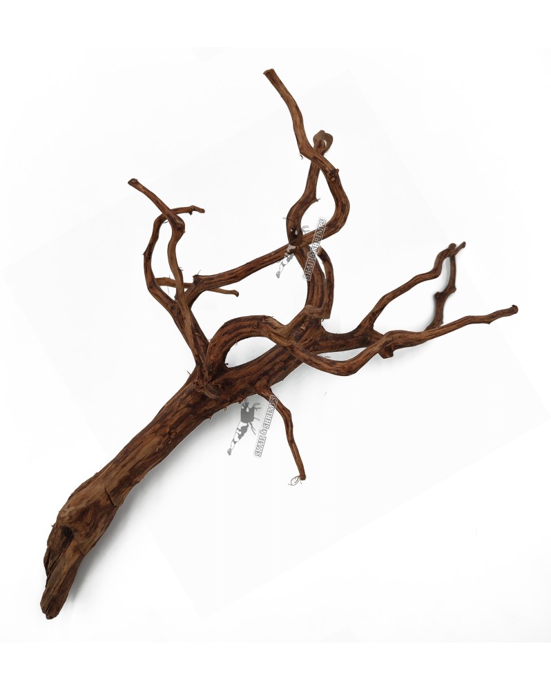 Dark Snake Wood - M - 20-30cm