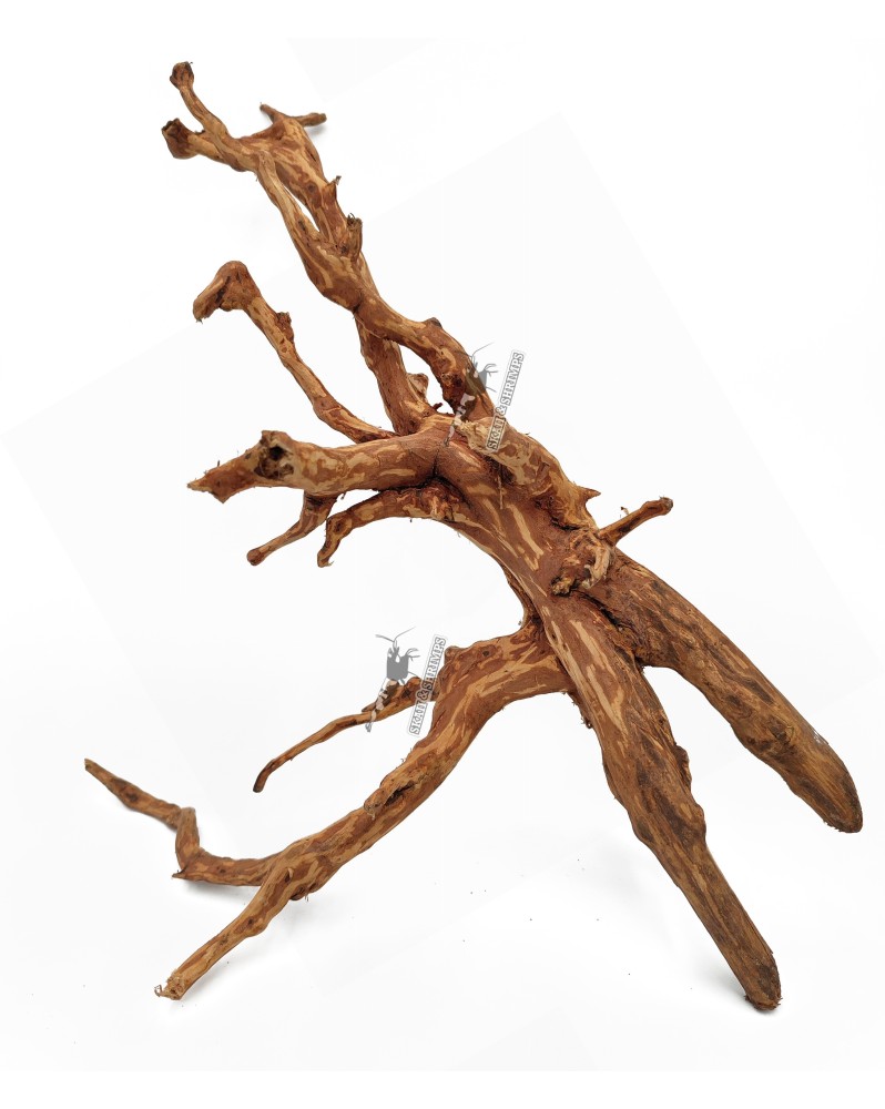 Dark Snake Wood - L - 35-40cm