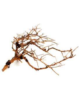 Drifwood "Branch" max 30cm