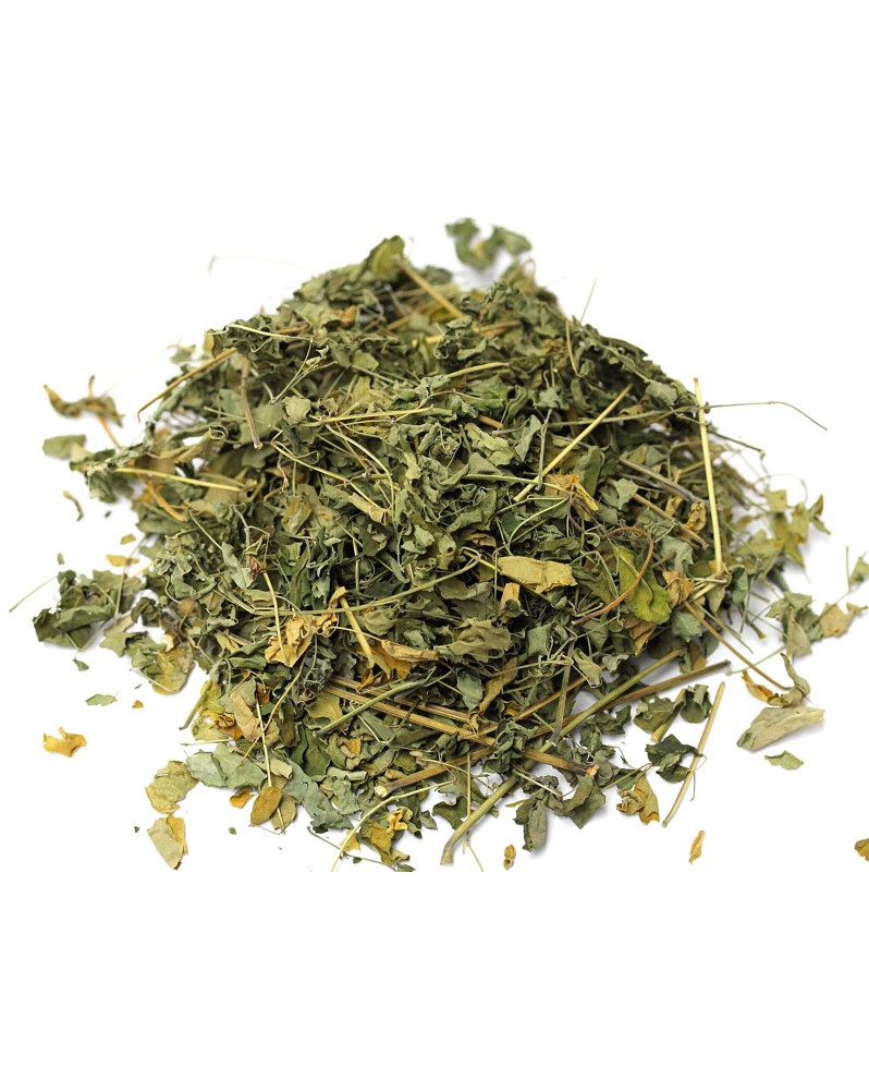 Moringa Sechée 10g