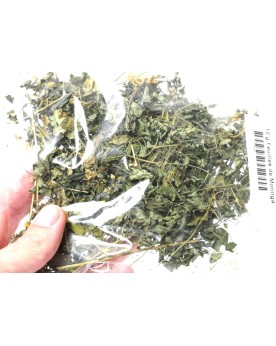 Moringa Sechée 10g