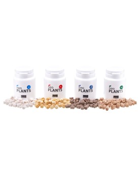 Aquario Neo Plant Tabs - K