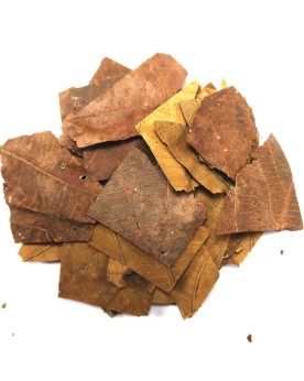 Feuilles de Teck - Morceaux - 10g