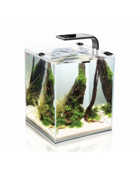 Shrimp Set Smart 30L Black