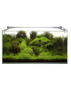 Aquael Leddy Slim 36w Plant - 100-120cm