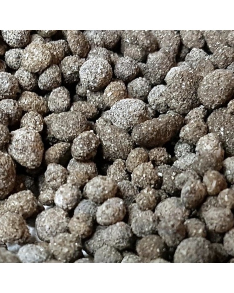 Biohome Biogravel - 1kg