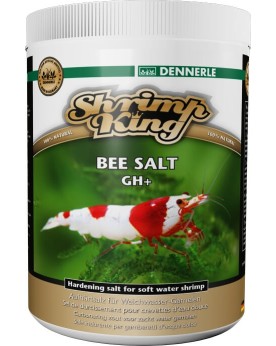 Shrimp King Bee Salt GH+