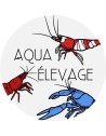 Aqua elevage