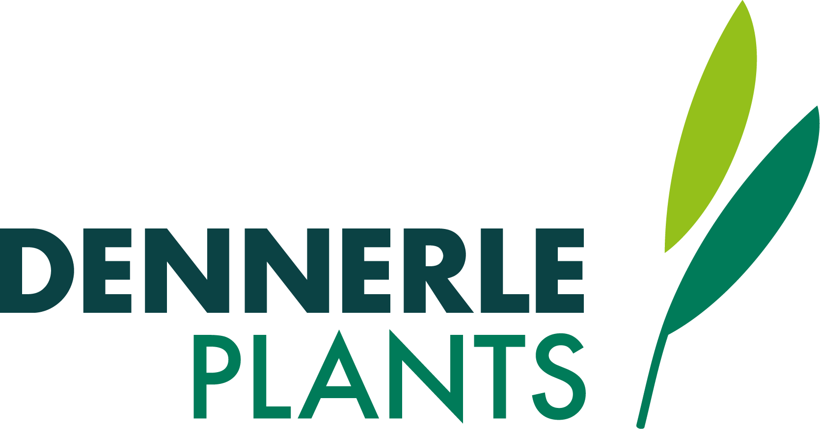 Dennerle Plants